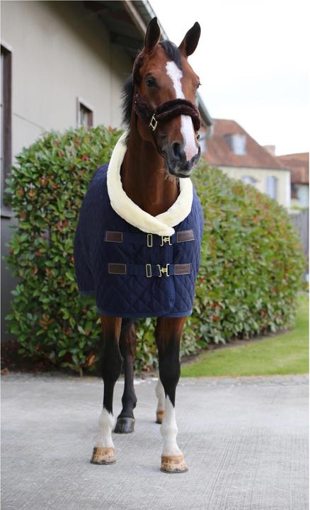 Actual product image Kentucky Horsewear Tournament blanket 160g with fur collar (synthetic fur) (145 cm)