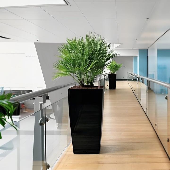 Produktbild Lechuza Cubico (39.50 cm)