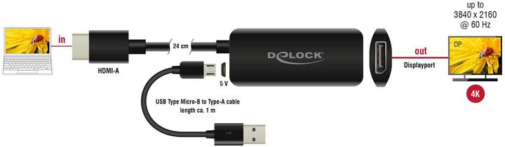 Productafbeelding Delock HDMI naar (DP, 24 cm)