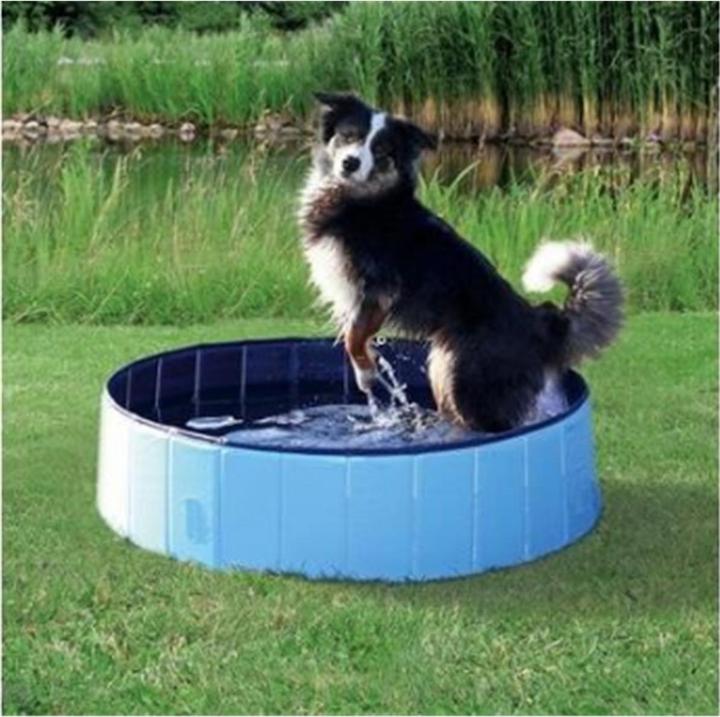 Produktbild Trixie Hundepool, 120 x 30 cm, hellblau (Hundepool)