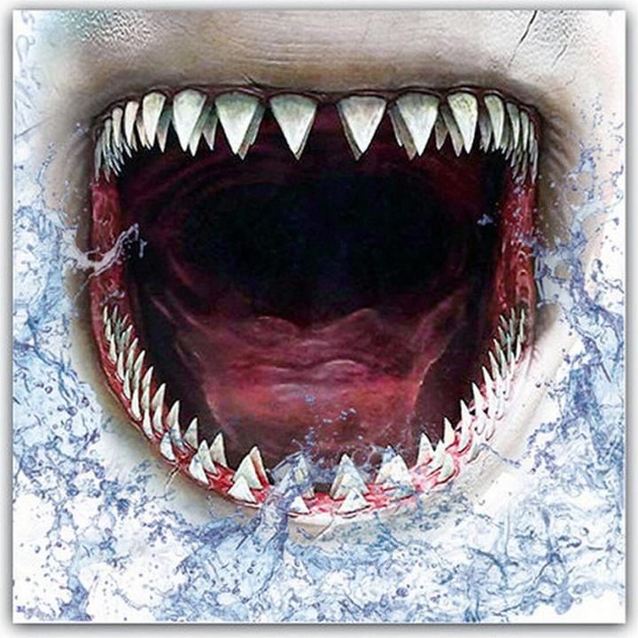 Image du produit TOP Masque hygiénique réutilisable en tissu 6-9 ans Requin