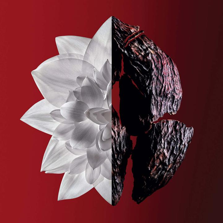 Actual product image Givenchy L'Interdit (Eau de parfum, 35 ml)