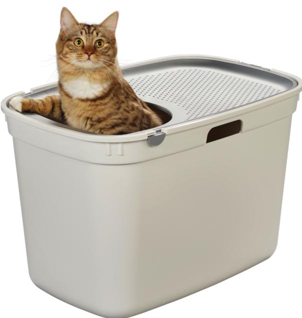 Actual product image AniOne Top-entry