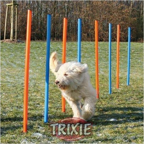 Image du produit Trixie Fun Agility Slalom