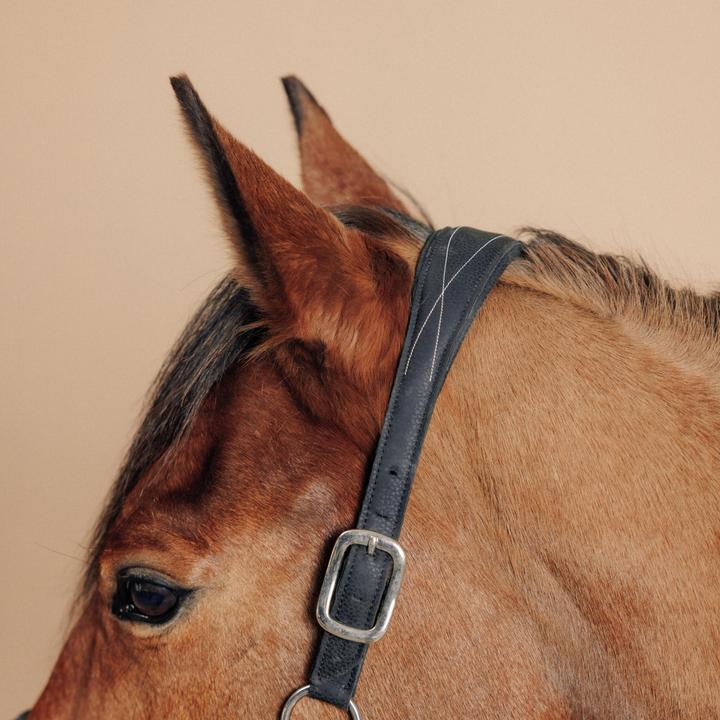 Immagine prodotto Fouganza Cavezza cavallo/pony in similpelle