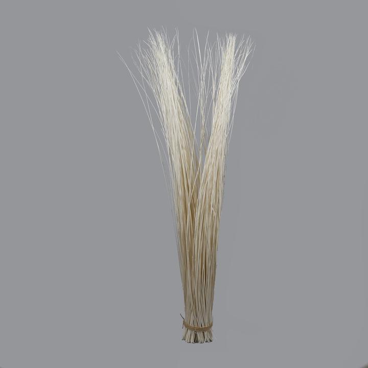 Immagine prodotto Decofinder Willow-Bund, Gebleicht (155 cm)