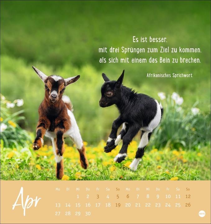 Produktbild Never give up! Postkartenkalender 2026 - Durchhalten. Denn alles wird gut (Deutsch)