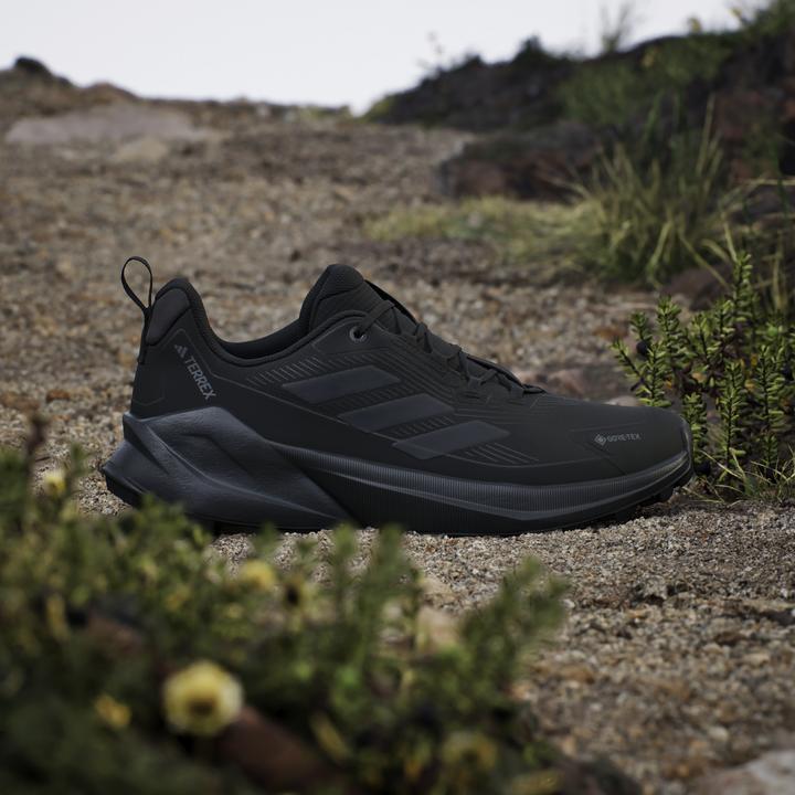 Image du produit Adidas Terrex Trailmaker 2 GTX (39)