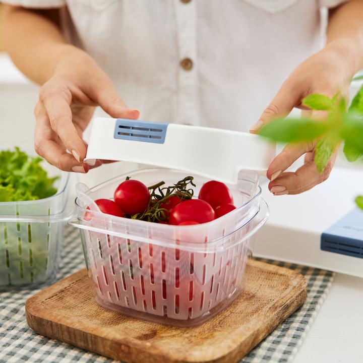 Produktbild Rotho Dynamic Box 1,6 l FRESH (1.60 l)