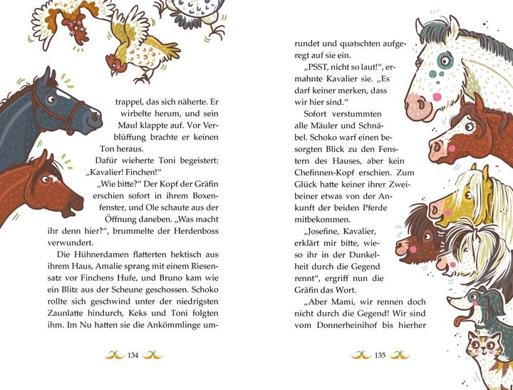 Image du produit Die Haferhorde - Mit allen Ponywassern gewaschen (Allemand, Nina Dulleck, Suza Kolb, 2022)