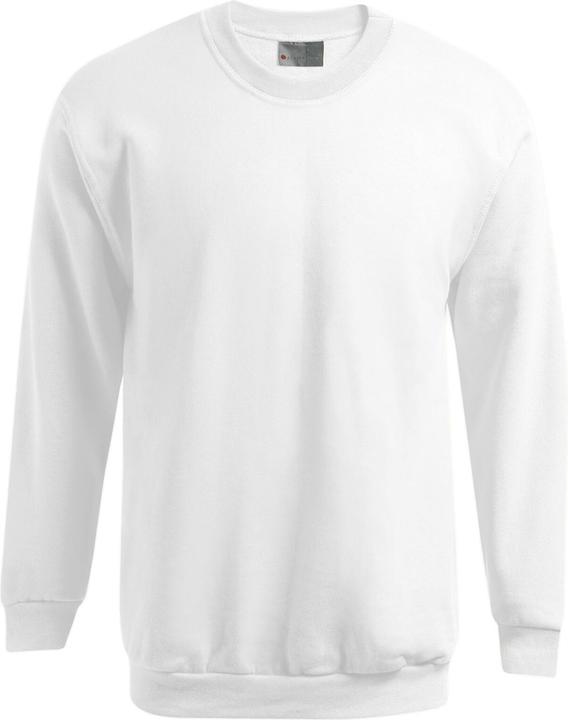 Image du produit Promodoro Men's New Sweater 100 (L)