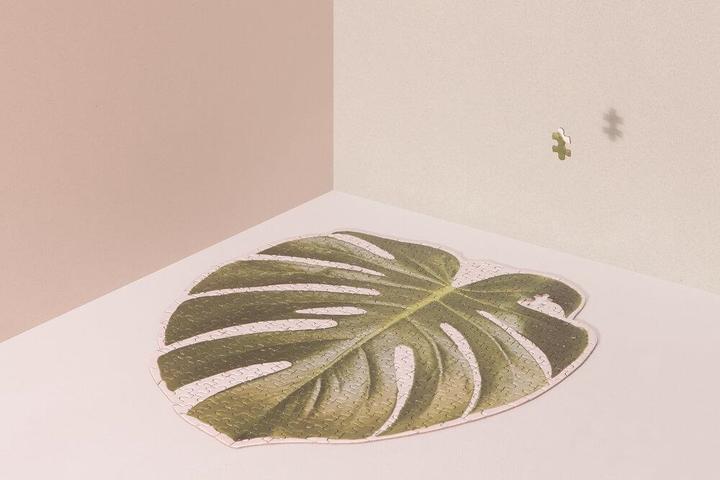 Produktbild Doiy Slow Puzzle Monstera (500 Teile)