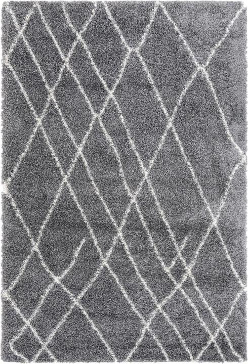 Produktbild Hadorn Lachen Fence (185 x 275 cm)