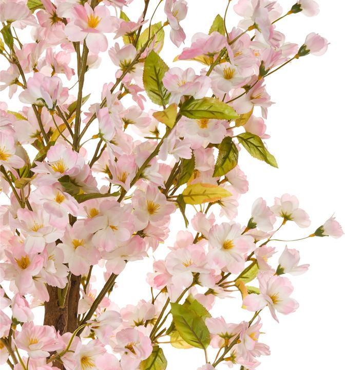 Immagine prodotto Beliani Sakura (150 cm)