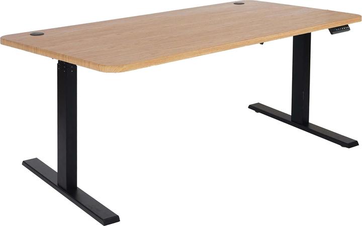 Swisshandel24 Scrivania (160 x 80 x 121 cm)