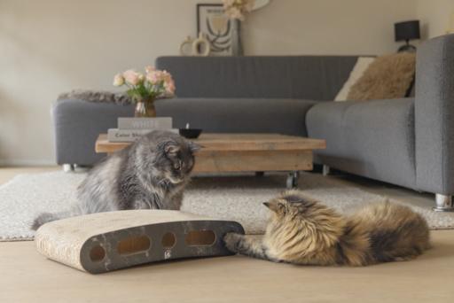 Produktbild Designed by Lotte Karton Kratzspielzeug Suvi (Schwarz)