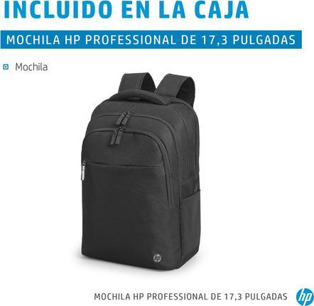 Actual product image HP Professional Notebook Backpack