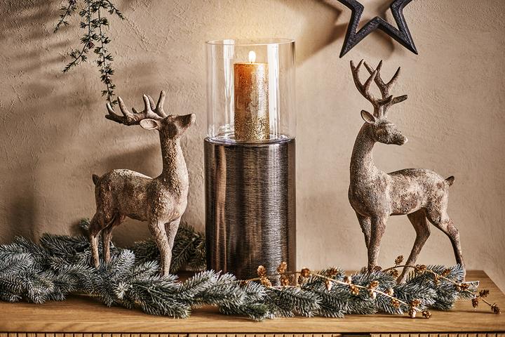 Image du produit pfister Mystic Forest