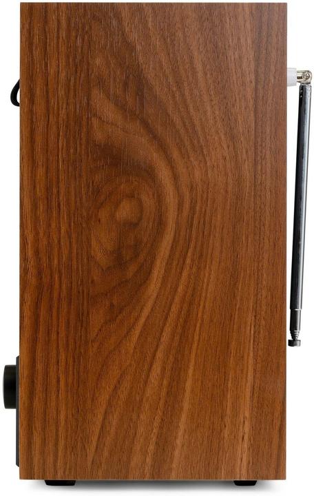 Immagine prodotto Audizio Canzo Internetradio - WiFi radio boekenplank model - Met DAB+, FM en Bluetooth (DAB, DAB, FM, Web radio, Bluetooth, WiFi)