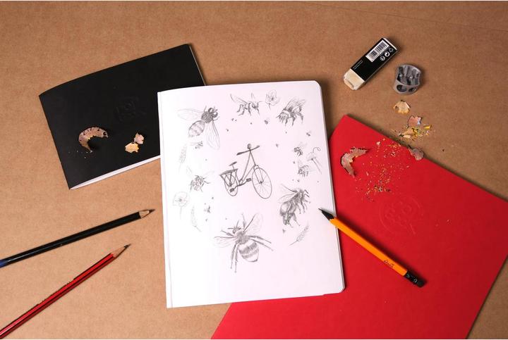 Image du produit Clairefontaine Techniques sèches (B3, Couverture rigide)