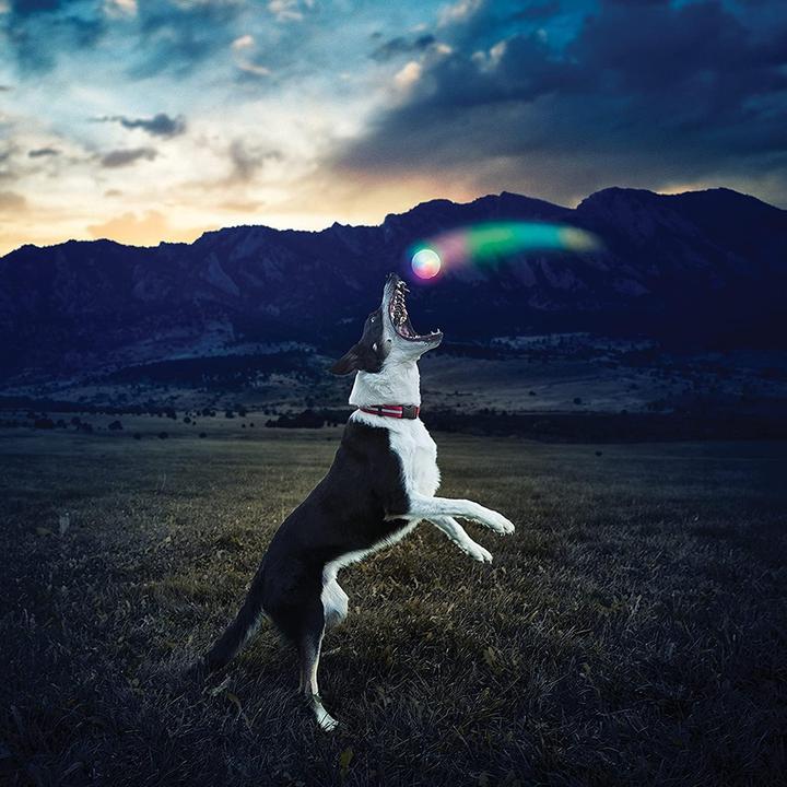 Immagine prodotto Nite Ize LED Glowstreak (Palla giocattolo per cani)
