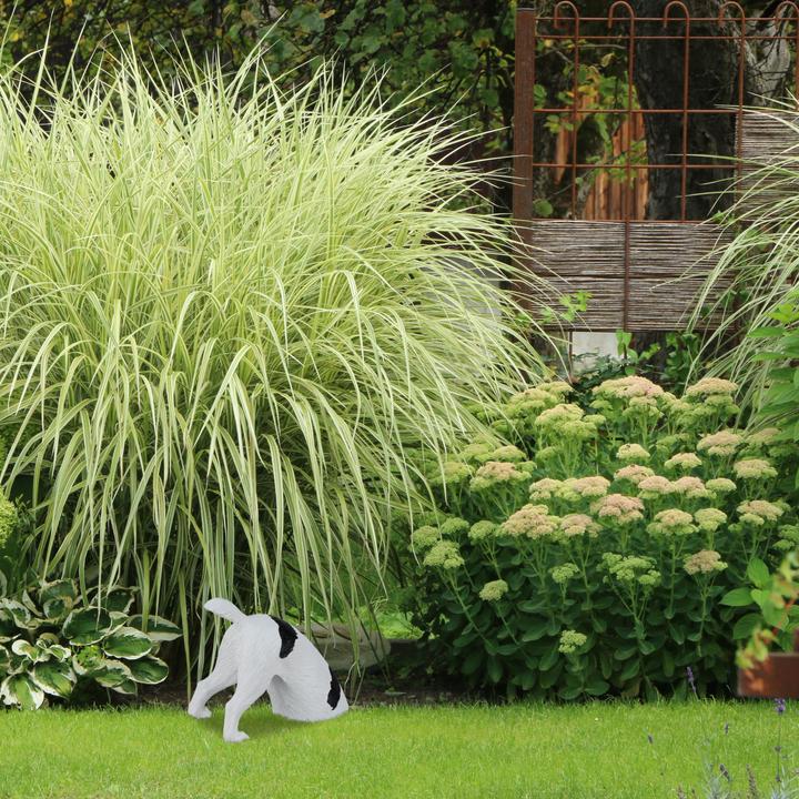 Image du produit Relaxdays Figurine de jardin chien
