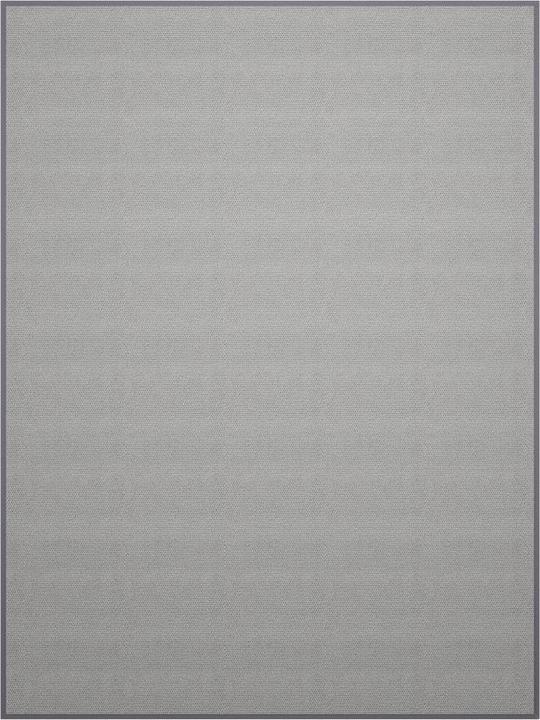 Johann Jakob Synthetica (200 x 150 cm)