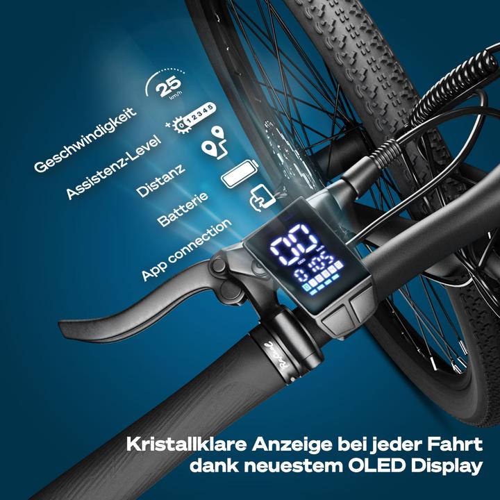 Produktbild Bluewheel Buteo (53 cm)