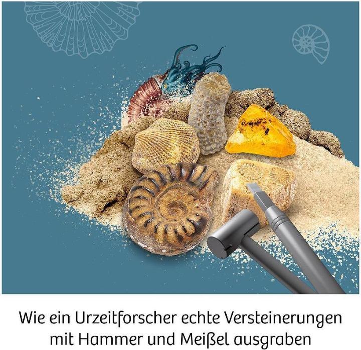 Image du produit Kosmos Fossiles