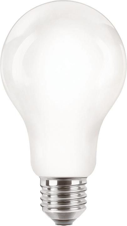 Philips Professional CorePro (E27, 13 W, 2000 lm, 1 x, D)