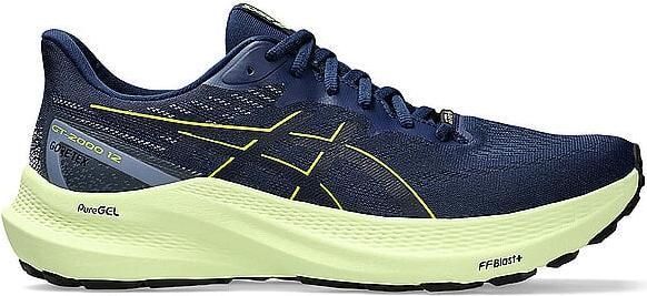 Image du produit ASICS Performance GT-2000 12 GTX (46)