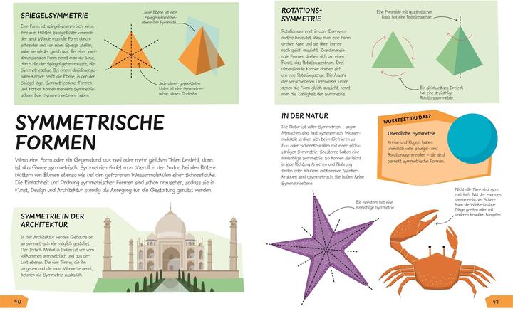 Actual product image Wozu eigentlich Mathe? (German, DK Verlag - Kids, Stephan Matthiesen, 2025)