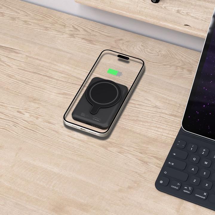 Image du produit Tech Banque d'alimentation techninės apsaugos PB10 LifeMag 5000 mAh Juodas (5000 mAh, 15 W)