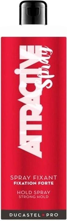 Image du produit Subtil Ducastel Duc Attractive Spray Fixative 1l