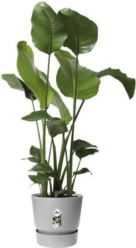Immagine prodotto Elho Greenville Round (39 cm)