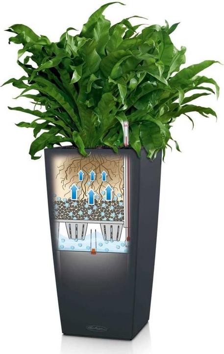Actual product image Lechuza cubico (39.50 x 39.50 x 75.50 cm)