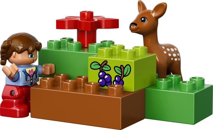 Produktbild LEGO Wildpark (10584)