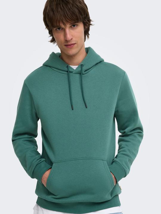 Produktbild Only & Sons Onsceres Hoodie Sweat Noos (L)