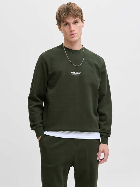 Actual product image Jack & Jones Jjesoho Sweat Crew Neck Noos (M)