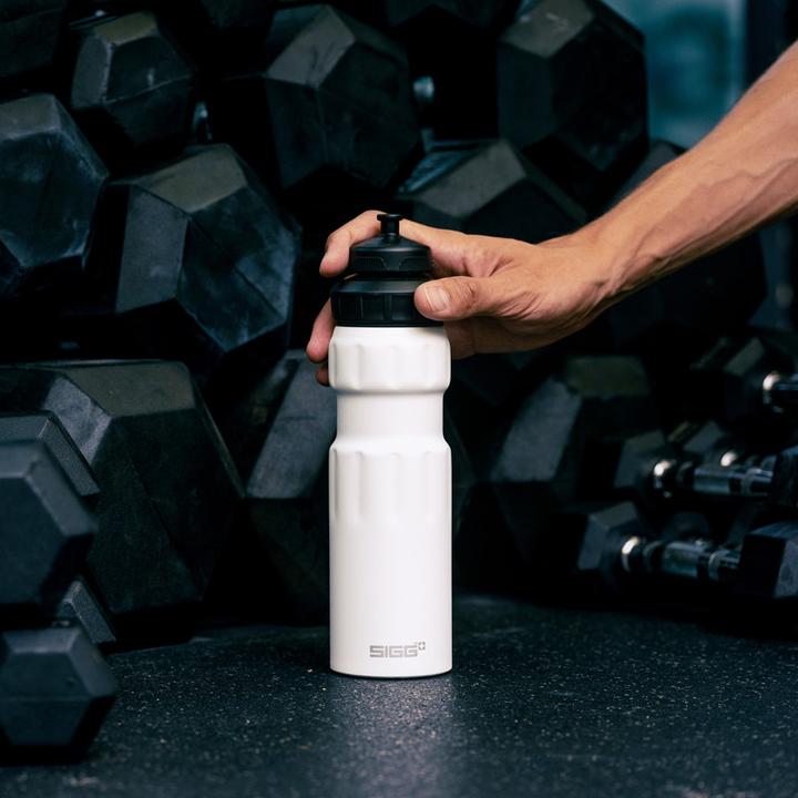Actual product image Sigg sports (0.75 l)