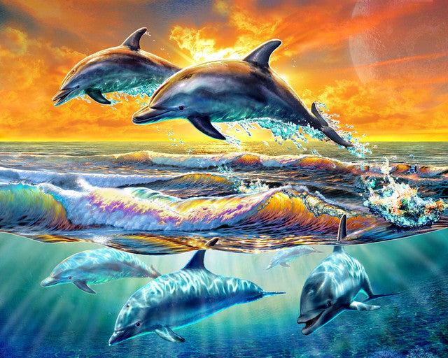 Actual product image Figured'Art Paint by Numbers Framed - Dolphins