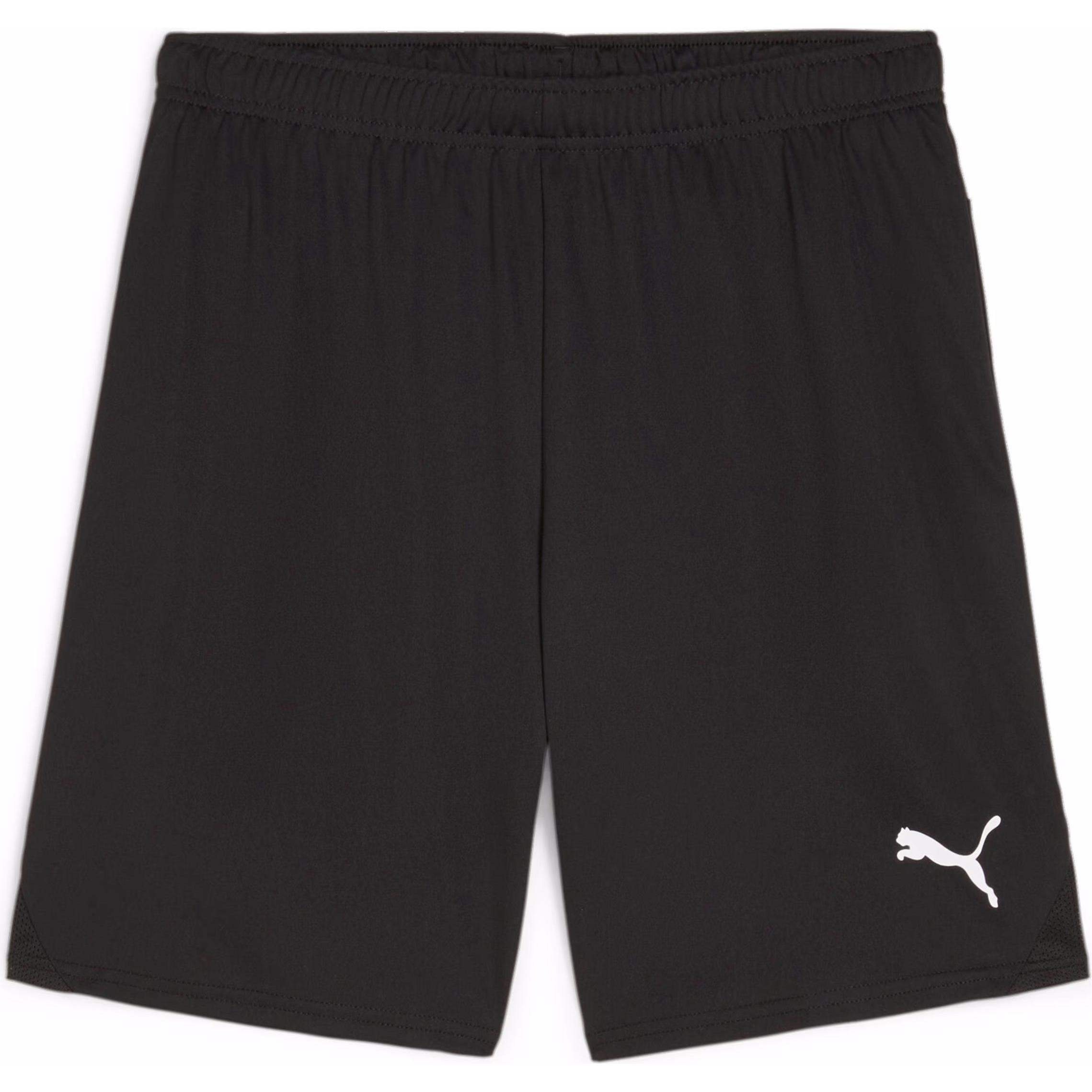Puma, Herren, Sporthose, teamGOAL Shorts (L), Schwarz, L