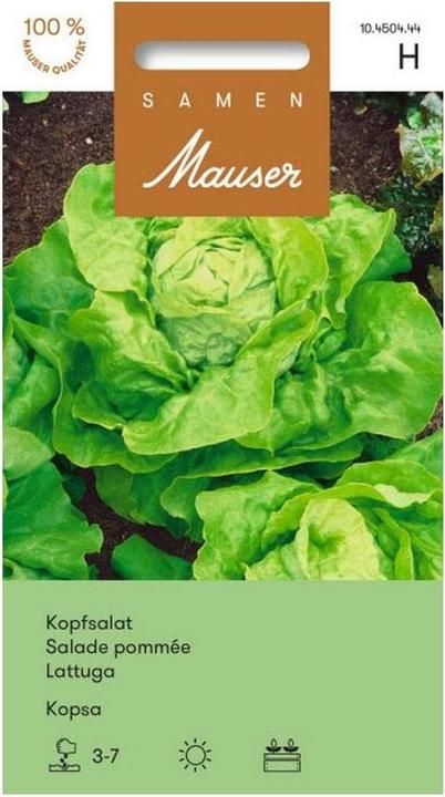 Actual product image Samen Mauser Lettuce Kopsa Profiline (Vegetable seeds)