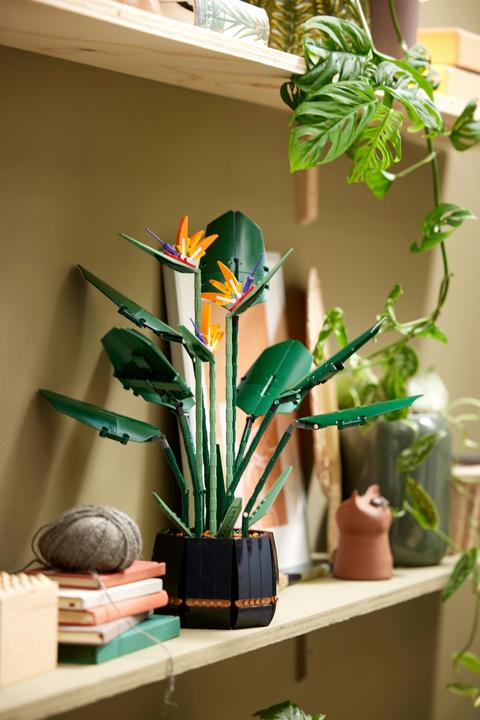 Actual product image LEGO Bird of Paradise (10289, LEGO Rare Sets)