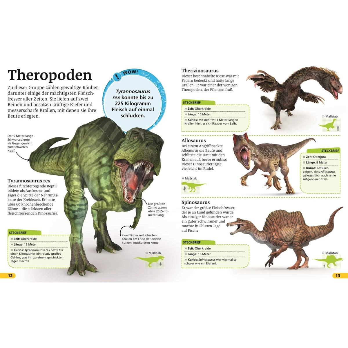 Thumbnail - Superchecker! Dinosaurier, Kinderbücher von Andrea Mills