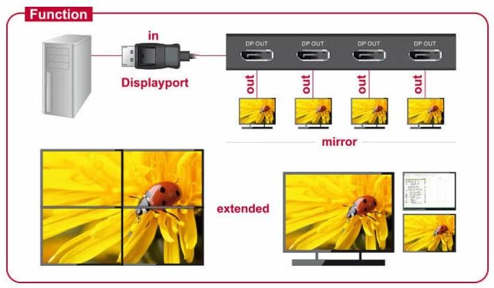 Image du produit Delock DP jusqu'à 4 x
