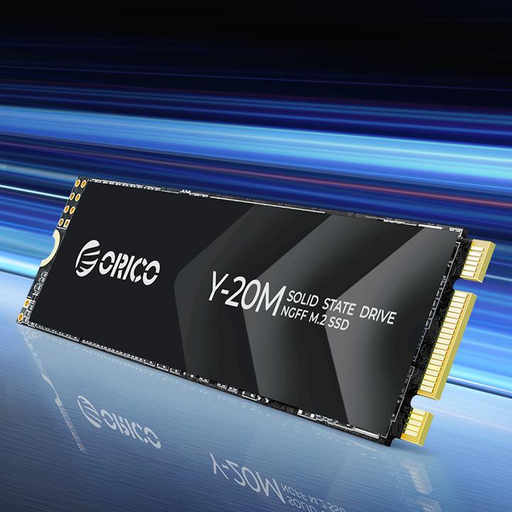 Image du produit Orico 256GB Y20M M.2 NGFF 2280 R500:W450 (256 Go, M.2 2280)