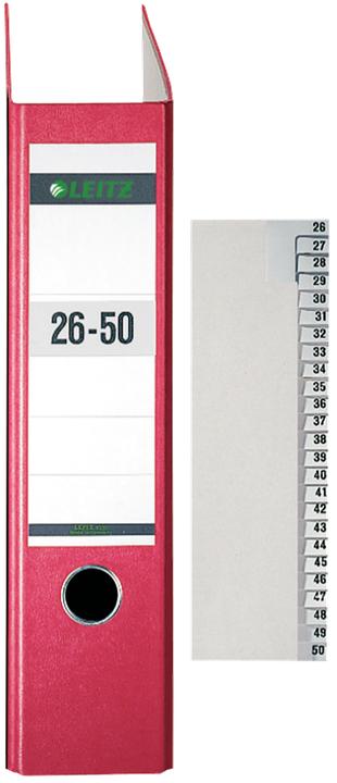Actual product image Leitz Register Paper