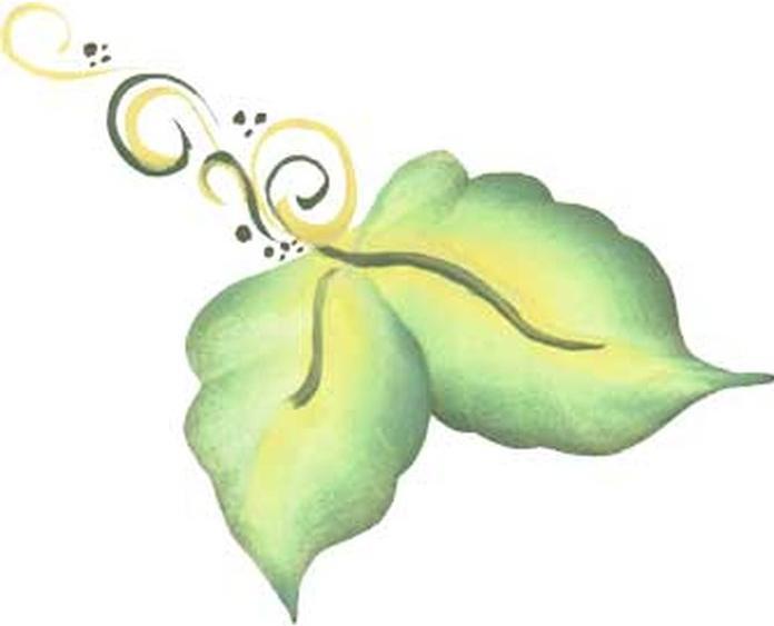 Produktbild Eulenspiegel Split Cake: Forest 6ml