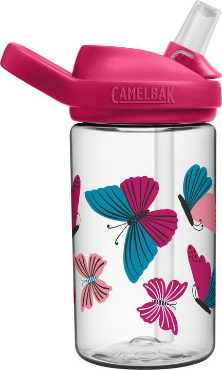 Les papillons Colorblock